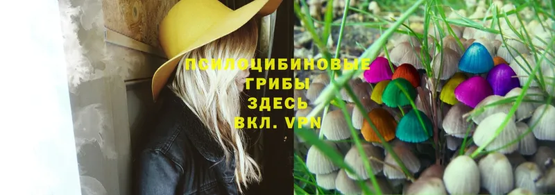 Псилоцибиновые грибы Magic Shrooms  mega зеркало  Зеленоградск 